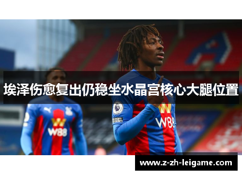 埃泽伤愈复出仍稳坐水晶宫核心大腿位置 埃泽伤愈复出仍稳坐水晶宫核心大腿位置